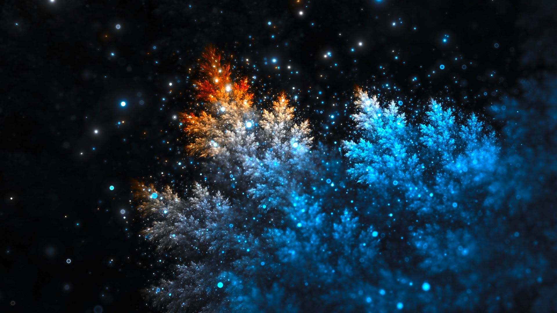 最新19x1080 壁紙 おしゃれ 最高の花の画像
