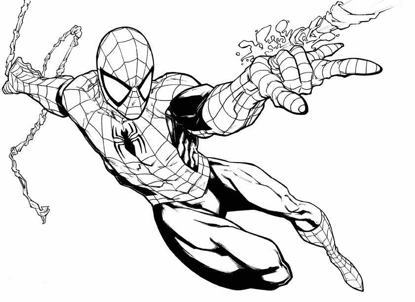 Free printable coloring pages for a variety of themes that you can print out and color. Free Spiderman Sheets Download Free Clip Art Free Clip Art On Clipart Library