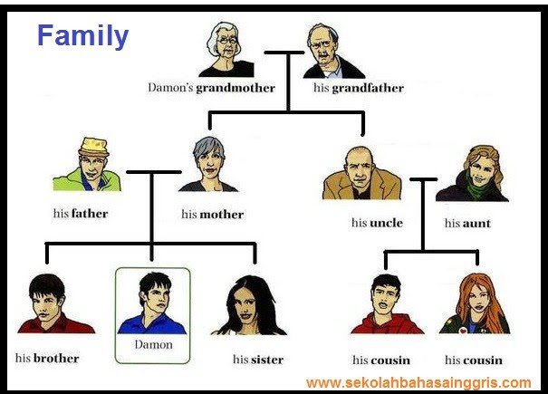 Contoh Gambar  Family  Tree  Contoh Qos