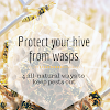 How To Keep Bees And Wasps Away From You : How To Keep Bees Away From Your Next Outdoor Party And You Organized Chaos Online - If you're going to go the vinegar route, get a spray bottle, and use a 50/50 split of white vinegar and water.