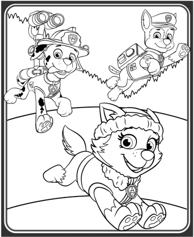 Chase is a dark blue spy male plane from the animated television series super wings. Everest Marshall And Chase Coloring Page Free Printable Coloring Pages