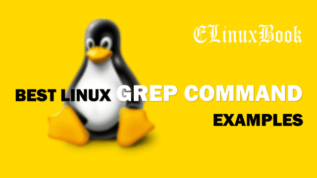 Look for all files in the current directory and in. Best Linux Grep Command Examples
