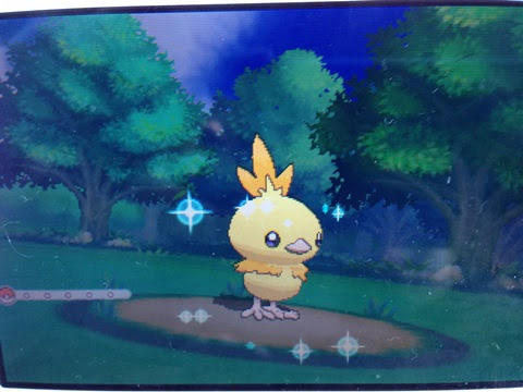 人気のコレクション ポケモン オメガルビー アチャモ 100 で最高の画像