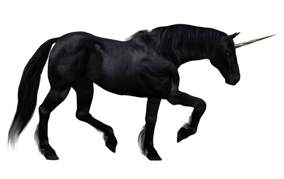 Unicorn Transparent Free Png Png Play White unicorn transparent background is one of the clipart about cute unicorn clipart,unicorn silhouette clip art,rainbow unicorn clipart. unicorn transparent free png png play