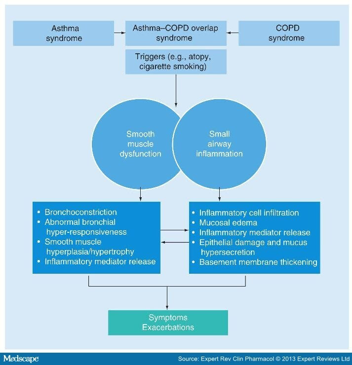 Gold Criteria Copd Exacerbation Treatment - Hirup v