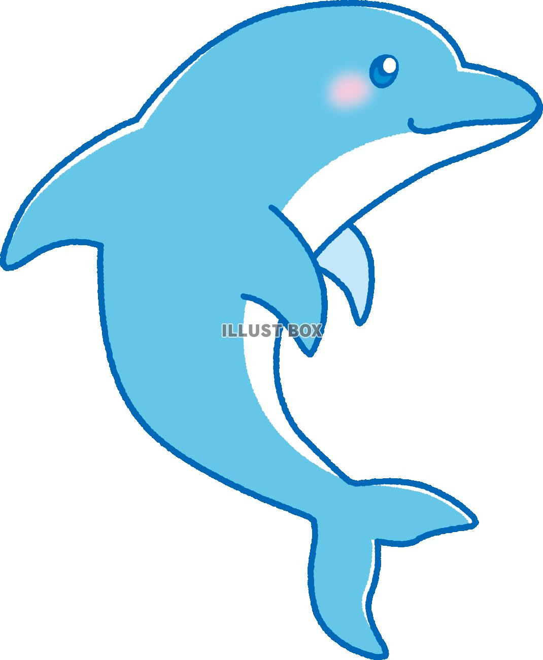 心に強く訴えるおしゃれ 可愛い イルカ イラスト すべての動物画像