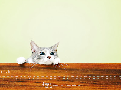 すべての美しい花の画像 猫 イラスト 壁紙 Pc