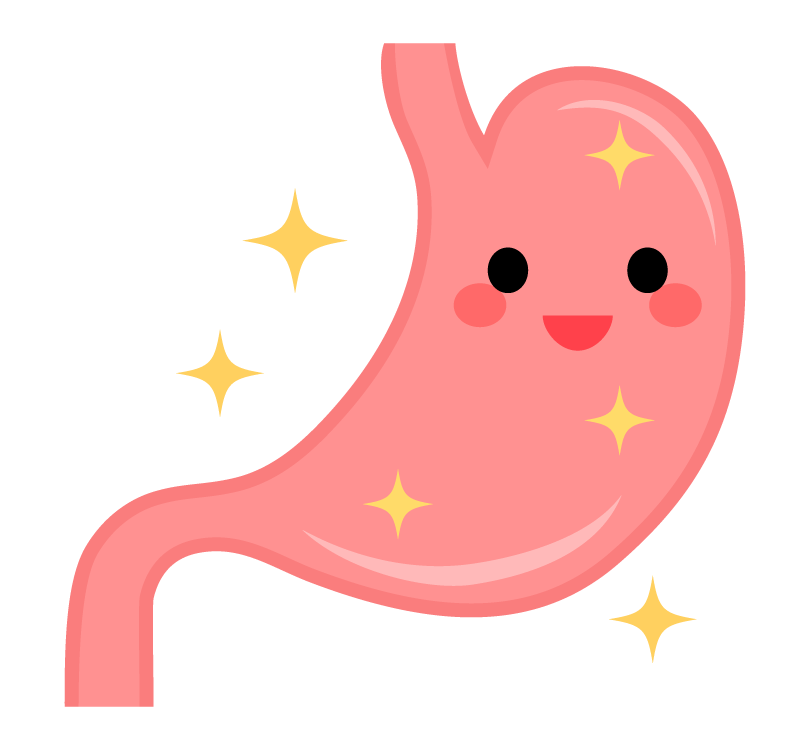 100以上 消化 管 イラスト 7987 消化管 イラスト フリー