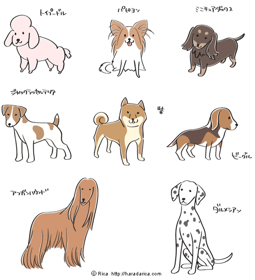 綺麗な犬 イラスト 書き方 アニメ画像