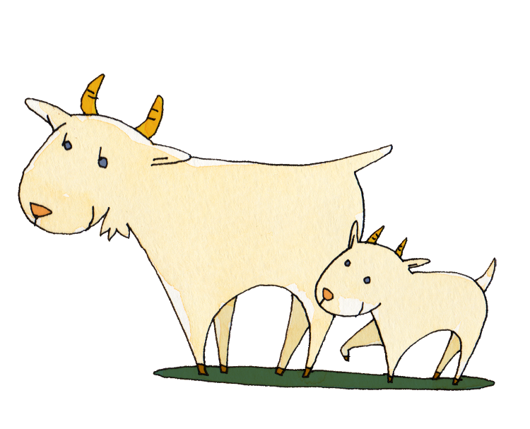 動物画像のすべて 50 素晴らしいかわいい ヤギ イラスト 簡単