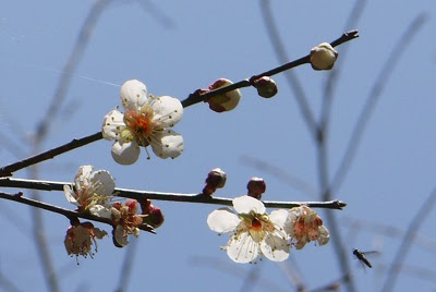 Maybe you would like to learn more about one of these? å°¾å'ã®é¢¨