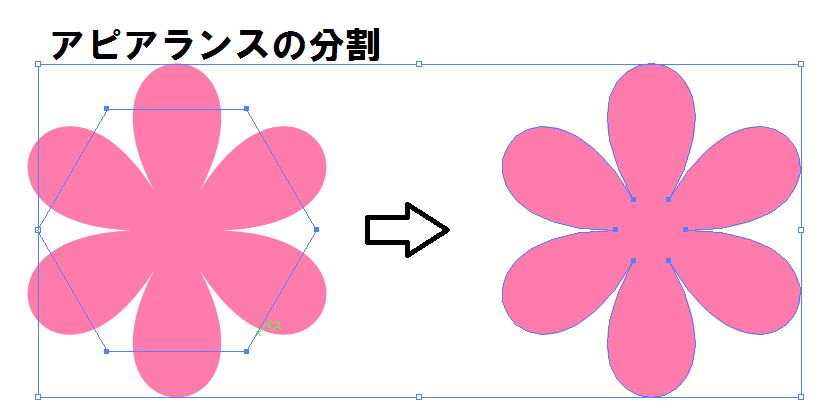 美しい花の画像 これまでで最高の花弁 イラスト