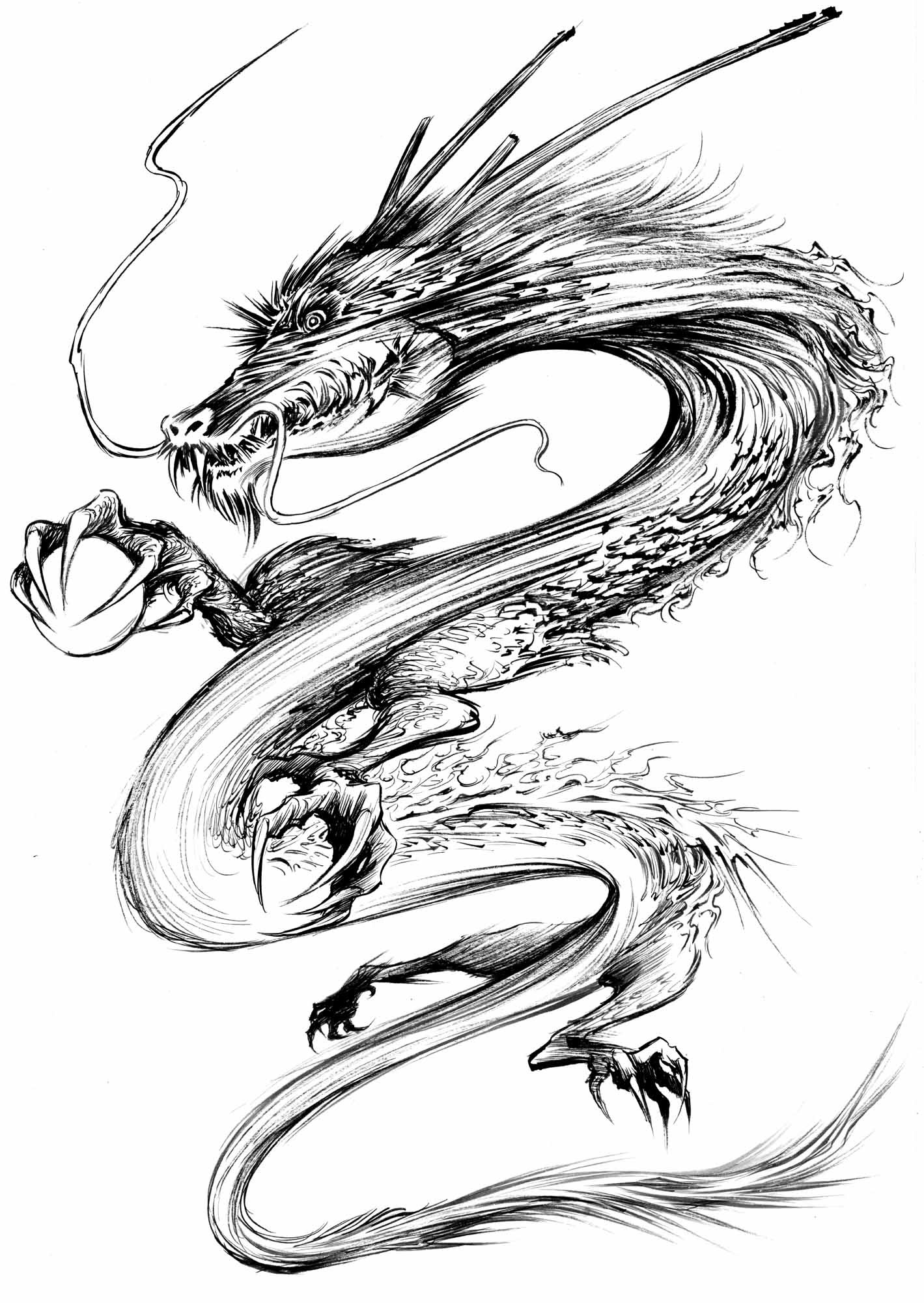 100 Epic Bestかっこいい 龍 イラスト 白黒 スーパーイラストコレクション