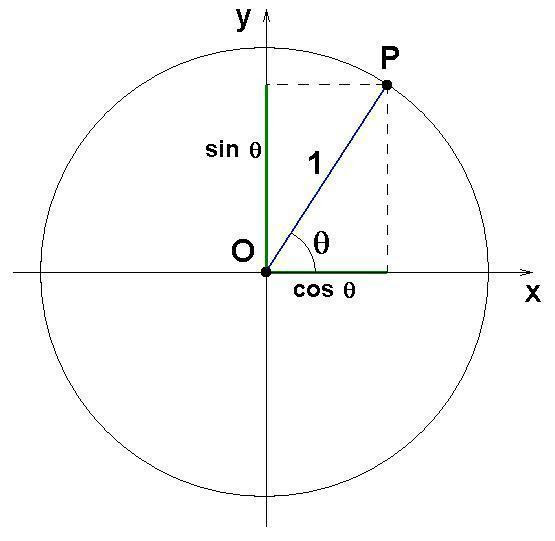 O ciclo trigonométrico