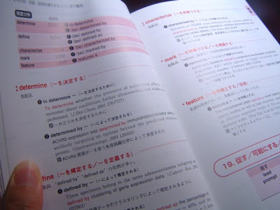 √ダウンロード 華やか 類義語 330084-華やか 類義語