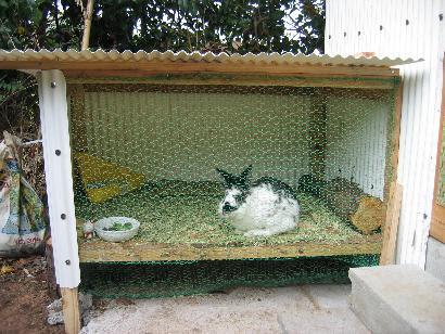 99以上 うさぎ小屋 手作り 外