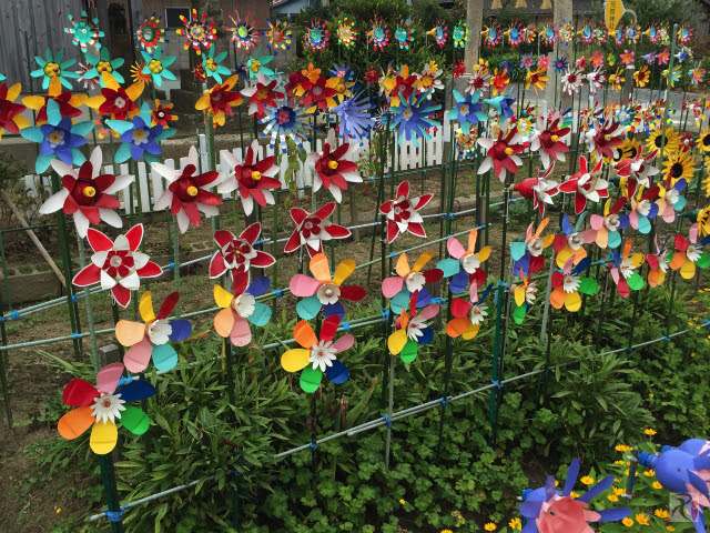 新着ペットボトル 花壇 最高の花の画像