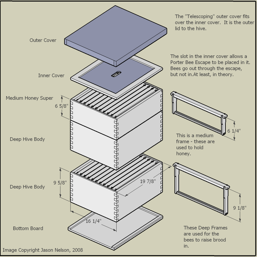 National bee hive plans metric