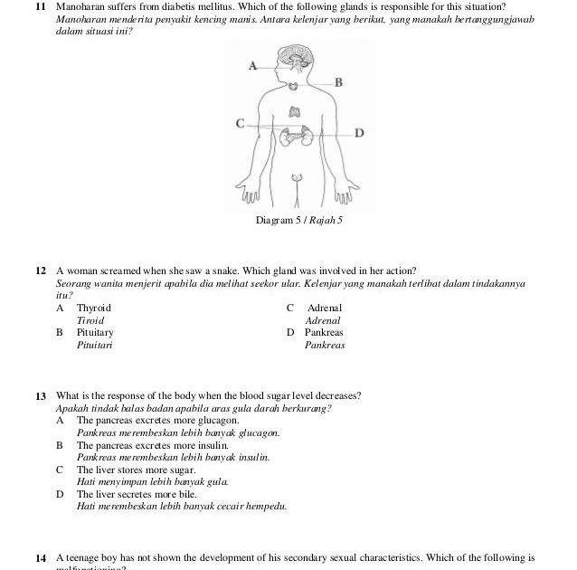 Contoh Soalan Dan Jawapan Writing Muet - New Sample m