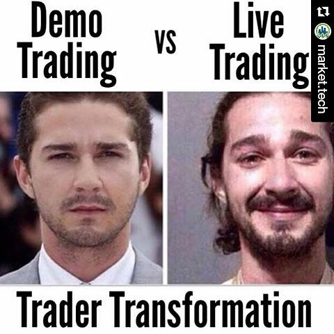 meme trader forex