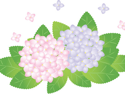 美しい花の画像 6月の花 イラスト