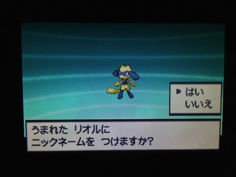 トップレート ポケモン プラチナ リオル 100 で最高の画像