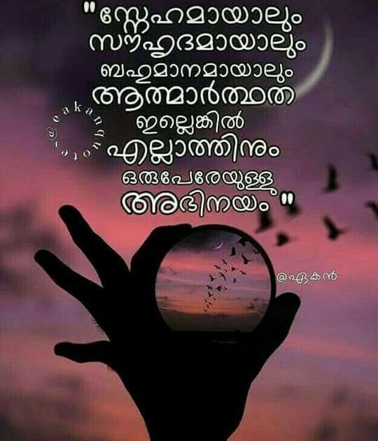 40+ Love Cheating Quotes Images In Malayalam ~ All Sport Balls