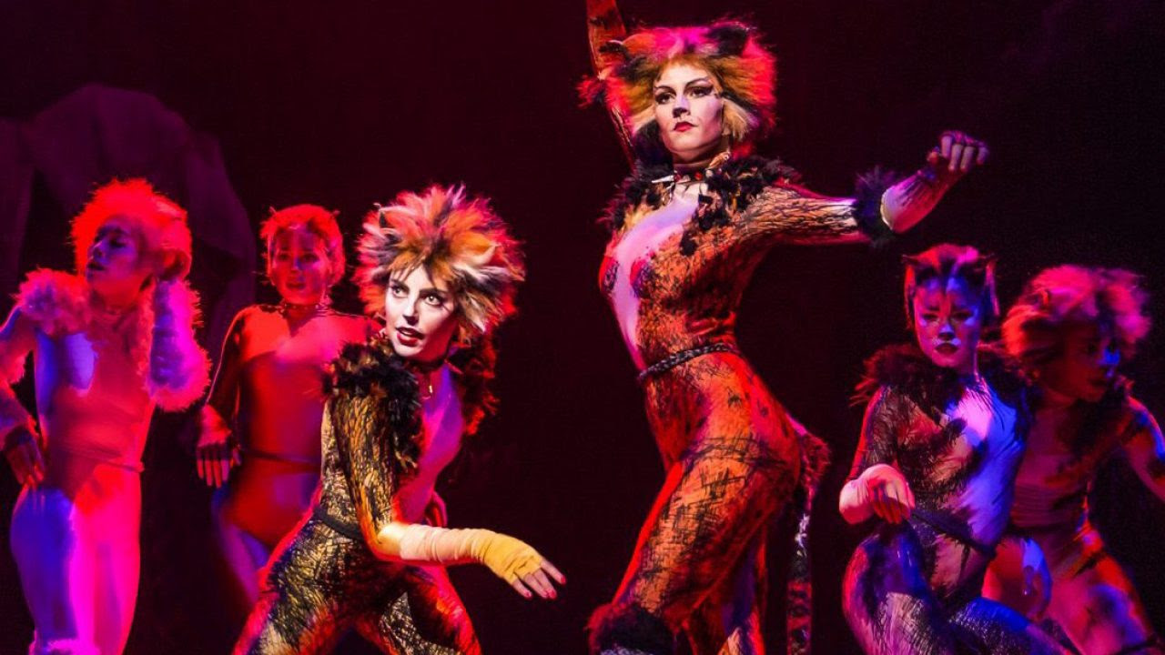 See more of cats the musical on facebook. Cats Musical Will Stream Online This Weekend