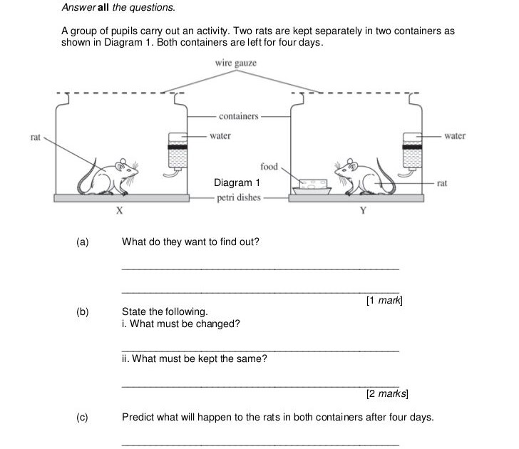 Contoh Soalan English Darjah 3 - Sample Site w