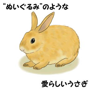 イラスト集 新鮮なかわいい うさぎ イラスト リアル 簡単