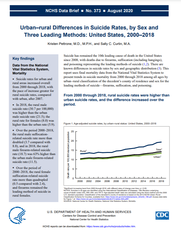 This is the report thumbnail for the Data Brief on Urban–rural Differences in Suicide Rates, by Sex and Three Leading Methods: United States, 2000–2018