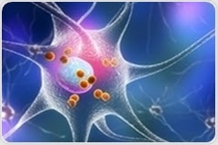 Estrogen as a Treatment for Parkinson’s Disease