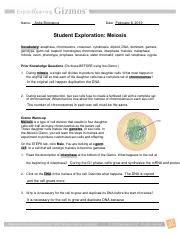 Meiosis Gizmo Answer Key Pdf Activity D Half Life Gizmo Answer Key Activity B Half Life Gizmo Mitosis Is Divided Into The Following Phases Based On The Completion