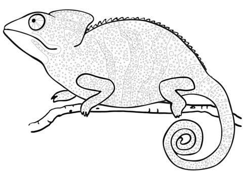 Keep your pen upright so the blending solution can transfer to the colored nib as shown above in the overhead shot. Chameleon Coloring Page Free Printable Coloring Pages