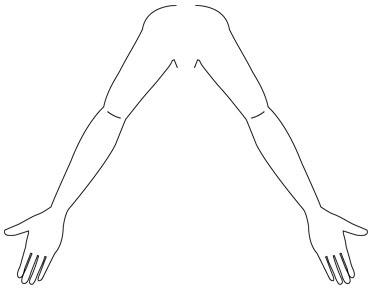 すべての動物の画像 トップ100 腕 イラスト フリー