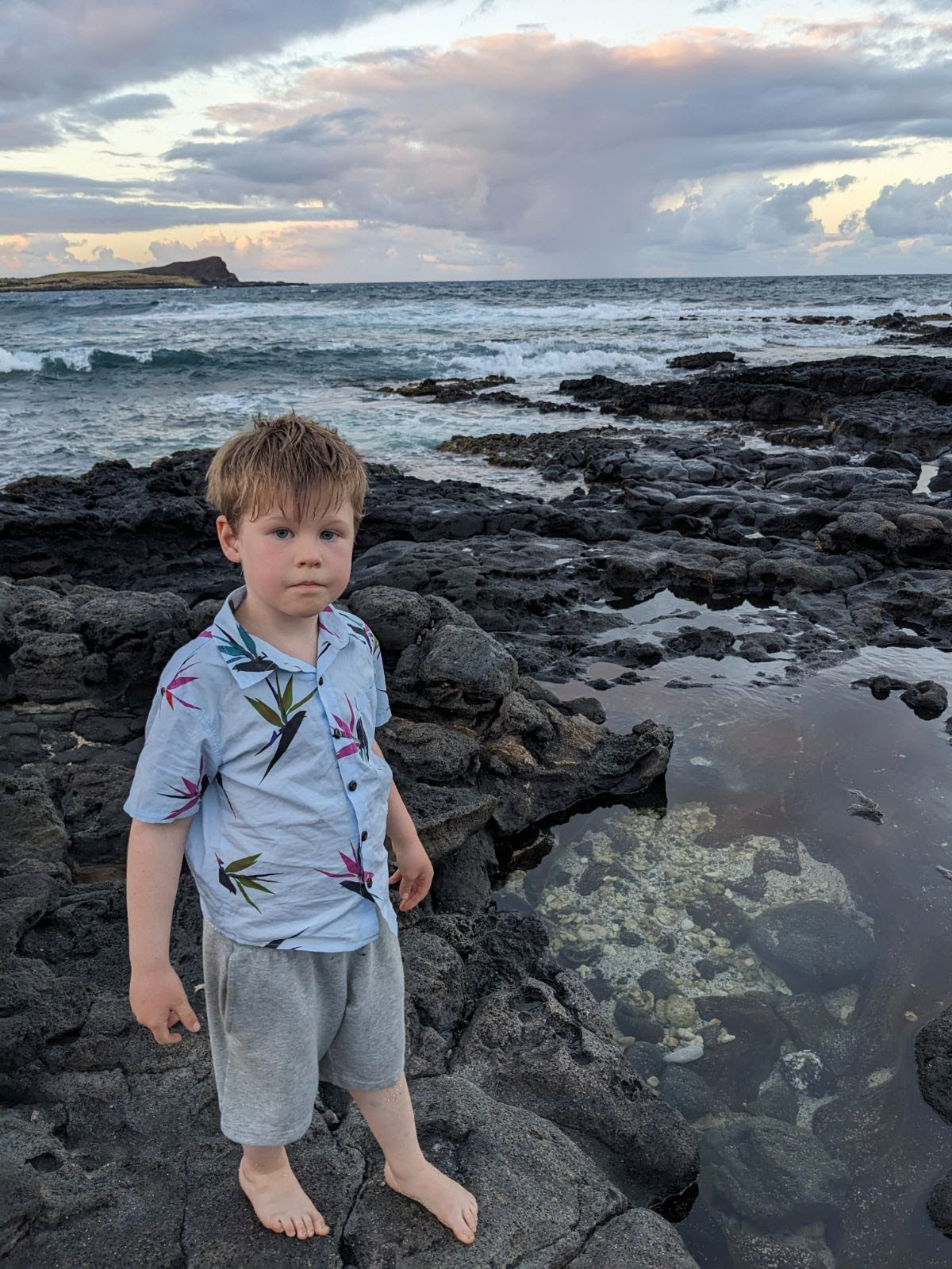 Theodore Dvorak photo. In Hawaii.