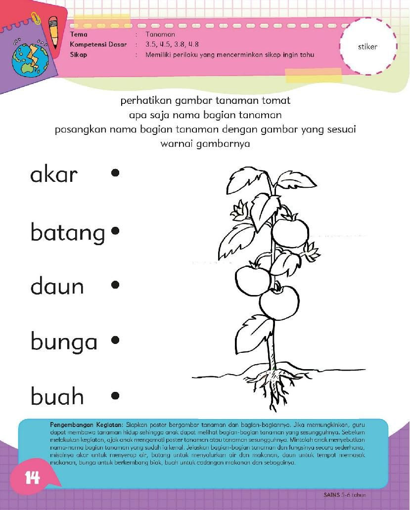 Contoh Soal Anak Tk B