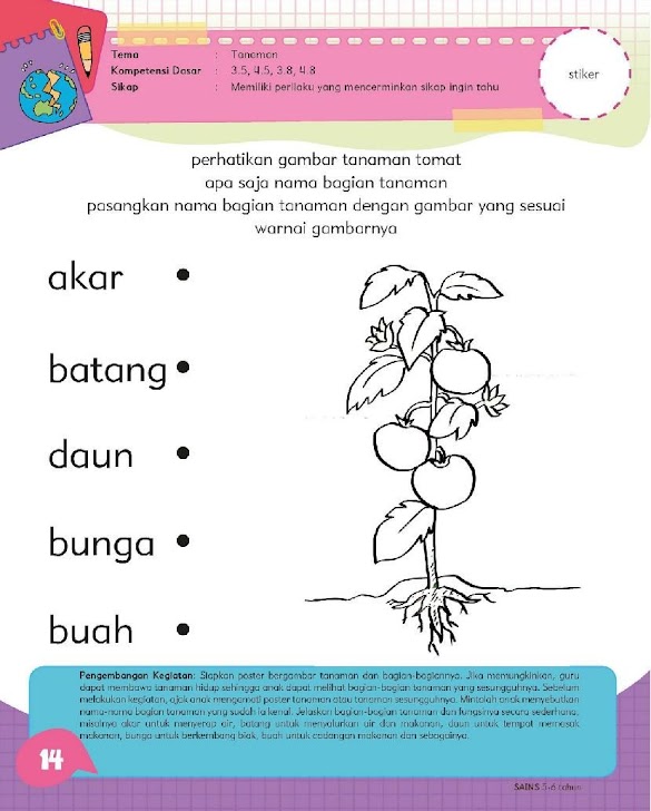 Download Contoh Soal Figural Cpns Pdf - Download Contoh Soal Tes Cpns 2018 Pdf - Berbagi Contoh Soal / Download soal cpns 2019 pdf serta contoh soal cpns cat dan jawabannya.