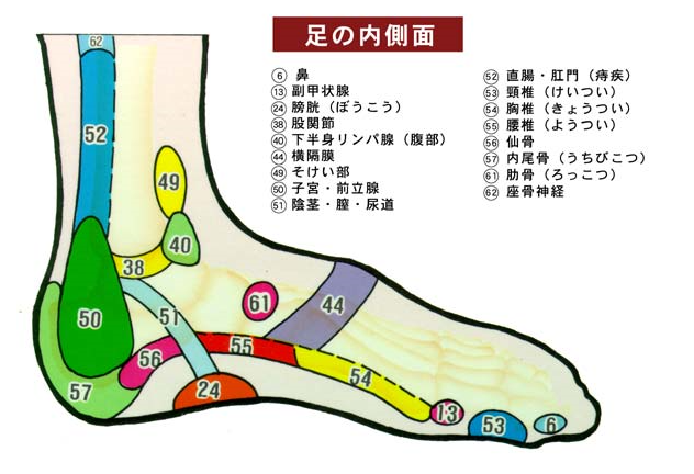 Japan Image 足裏反射区腰