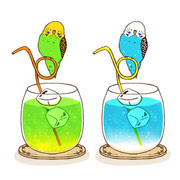 最も人気があります インコ 可愛い イラスト 自宅イラスト