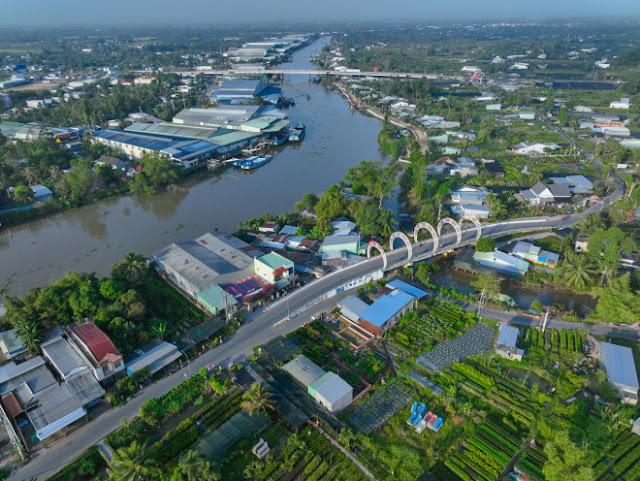 Sắc vàng rực rỡ báo hiệu mùa Tết ấm no ở làng hoa Sa Đéc - 18