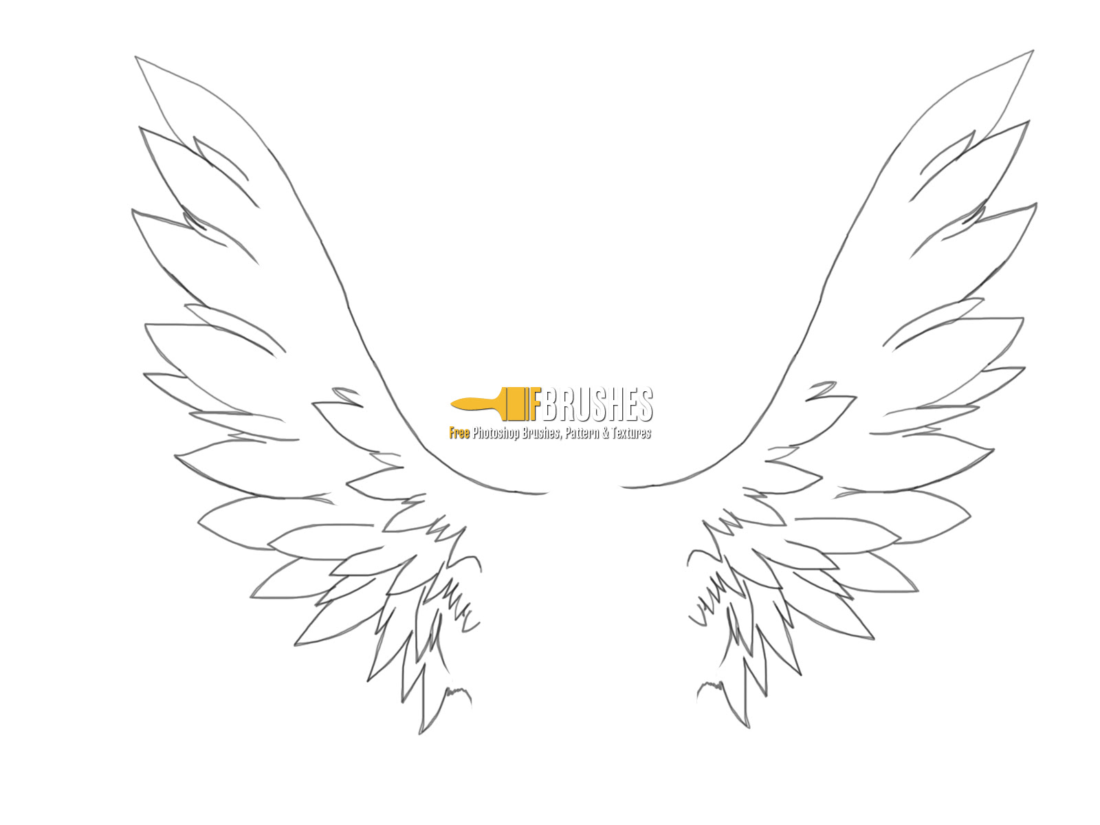 Kumpulan Ilmu Dan Pengetahuan Penting Anime Angel Wings Drawing