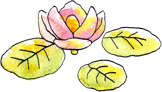 Japan Image 蓮 イラスト 無料