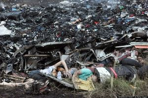 flight_MH17_crash1.jpg