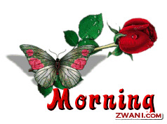 Animasi animasi ucapan selamat pagi good morning