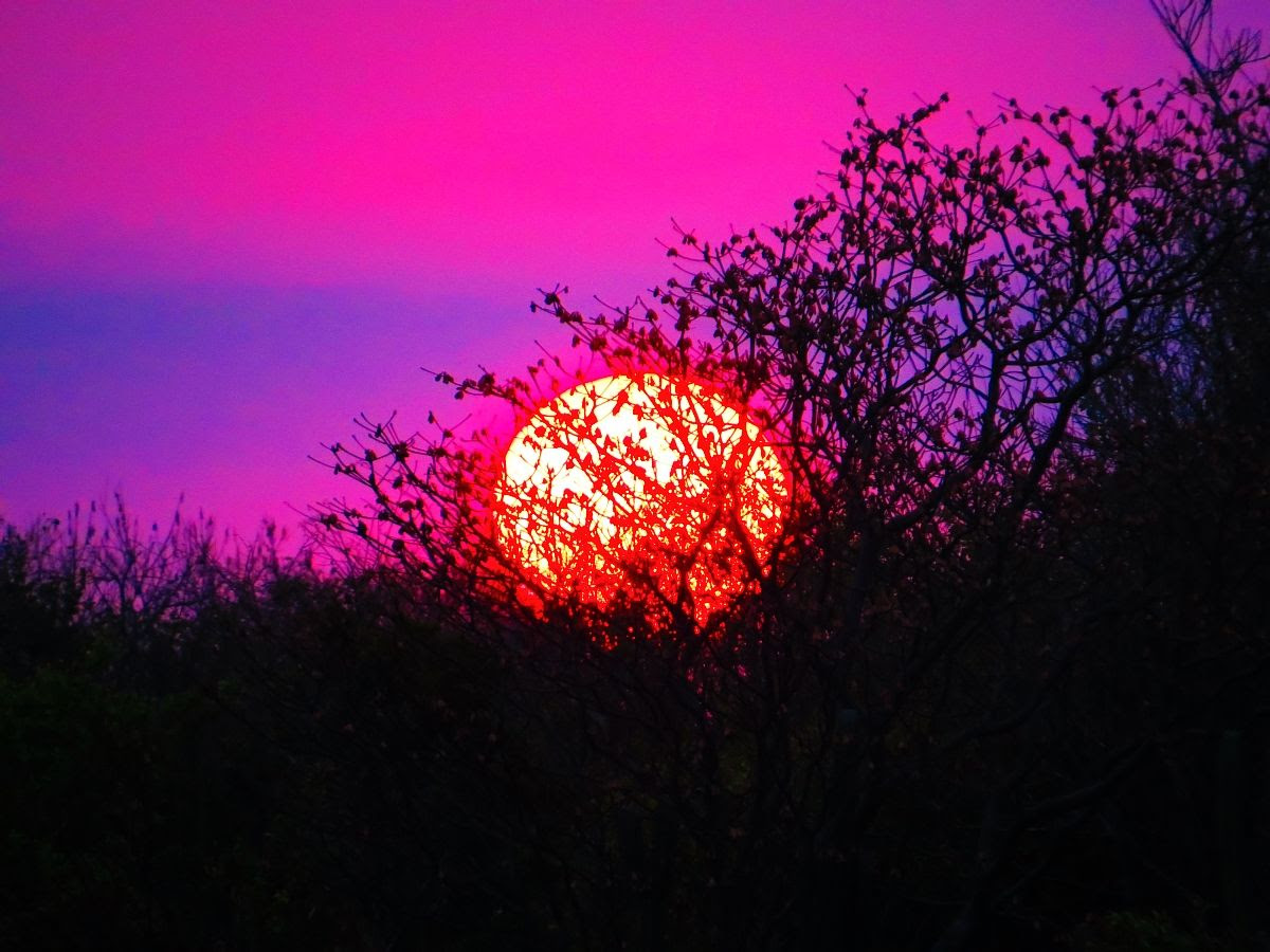 Zipolite Beach: A Complete Travel Guide Sunset from Heven Zipolite