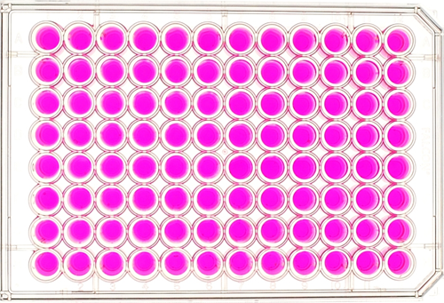 最高の無料イラスト 最高の96 Well Plate イラスト