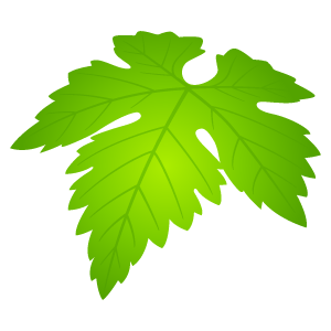 ブドウの葉 Grape Leaves Japaneseclass Jp