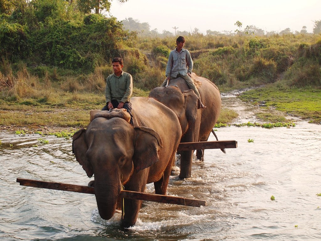 chitwan national park + elephant breeding center