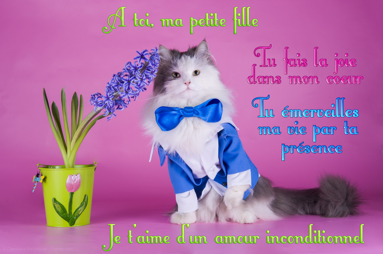 joyeux anniversaire sms pour une amie